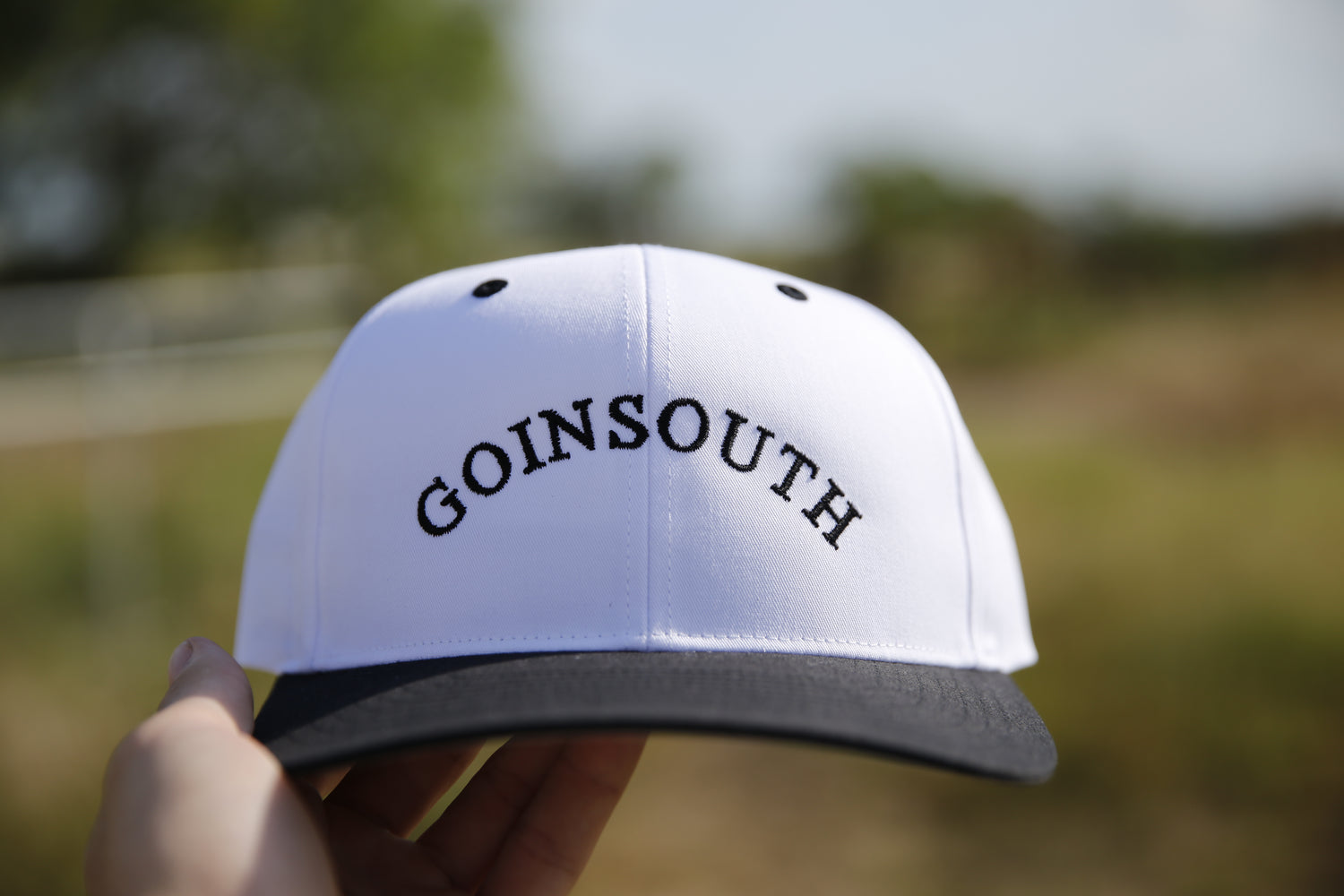 The Shore Front Collection